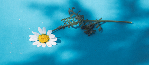 The Pressure to Be “Okay” in Summer: Why Depression Doesn’t Take a Vacation