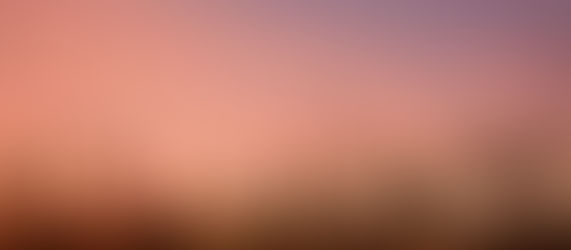 Cat tail vegetation against a backdrop of a sunset with pink and red and purple hues.