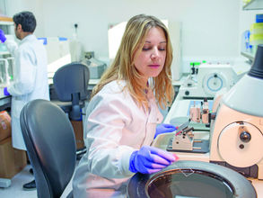 BRCA2 stökkbreyting og horfur sjúklinga með krabbamein í blöðruhálskirtli - verkefnislok