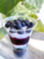 Fresh Blueberry Icelandic Yogurt Parfait