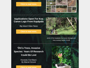 April Newsletter