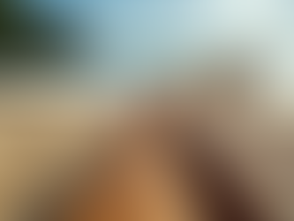Makana Eyre: State Seeks Traditional Canoe Builders For Koa Wood Logs