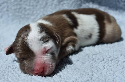 31292720_633651690303823_208840438427366