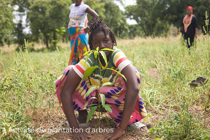 Reboisement des femmes MALI (1)_edited.j