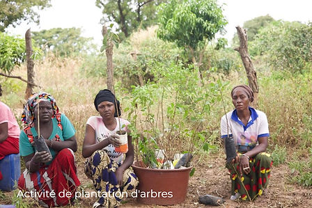 Reboisement des femmes -MALI_edited.jpg