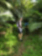 image6.jpeg