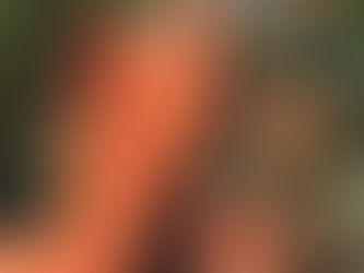 2023新場景-熱情托斯卡尼