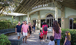 guide.Attractions-RookeryBayResearchReserve.w.jpg