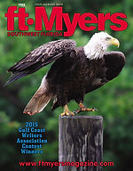 cover.2015Jul.w.jpg