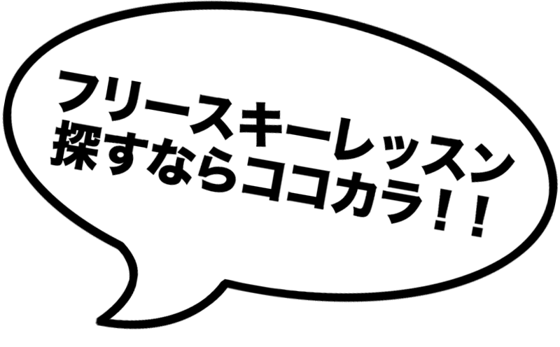 フリースタイルスキーレッスン, フリースキーレッスン
