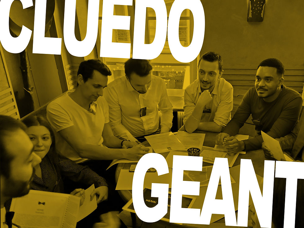 CLUEDO GEANT
