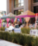 10x10 popup canopy tent