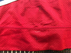 1995-1996Lemieux22Hem Marks