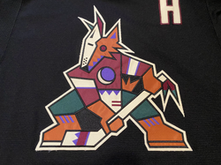 2019-2020Stepan21Crest