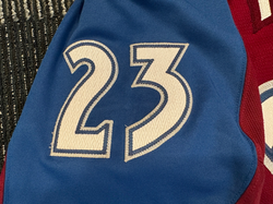 2007-2008Hejduk23Left Arm Numbers