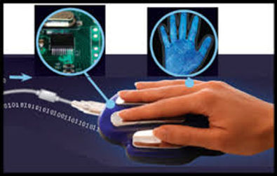 Zyto hand on cradle.jpeg