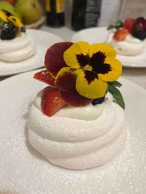 WhatsApp Image 2023-08-11 at 2.09.46 PM (3).jpeg