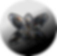 star-diamond.png