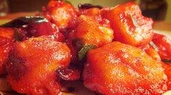PANEER 65