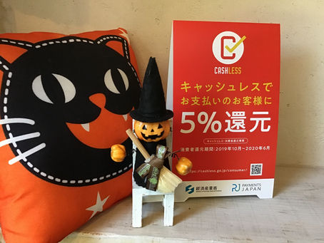 ✨5%還元✨