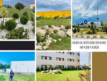 𝐓𝐫𝐚𝐧𝐬𝐟𝐨𝐫𝐦𝐚-𝐭𝐢 𝐬𝐩𝐚𝐭𝐢𝐮𝐥 𝐝𝐞 𝐛𝐢𝐫𝐨𝐮𝐫𝐢 𝐢𝐧𝐭𝐫-𝐨 𝐨𝐚𝐳𝐚 𝐝𝐞 𝐯𝐞𝐫𝐝𝐞 𝐜𝐮 𝐚𝐣𝐮𝐭𝐨𝐫𝐮𝐥 𝐬𝐞𝐫𝐯𝐢𝐜𝐢𝐢𝐥𝐨𝐫 𝐝𝐞 𝐩𝐞𝐢𝐬𝐚𝐠𝐢𝐬𝐭𝐢𝐜𝐚 𝐜𝐨𝐫𝐩𝐨𝐫𝐚𝐭𝐢𝐯