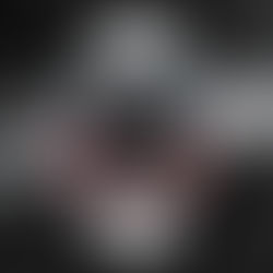 PHANTACI 19 週年壓軸登場 —— TUDOR × PHANTACI × UNDEFEATED  GMT Black Bay 三方聯乘腕錶