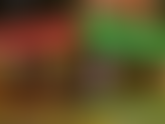 PALACE 正式登陸香港開設品牌旗艦店