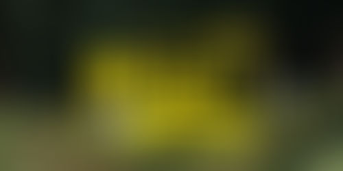 戶外迷年度盛事 —— 「城市綠洲-野Fun Outdoor 聯合體驗市集」即將登場