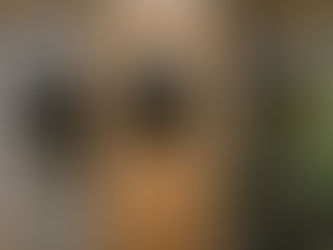 直擊 WODEN 台北東區最新直營門市