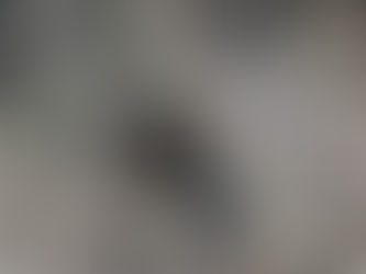 adidas 表示：「我們將所有庫存的 YEEZY 都賣完了。」