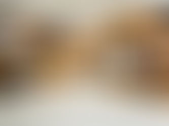 全新生活靈感空間 PLOT:台北巷弄裡最有故事感的咖啡與文化基地