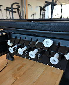 Leopard Lagree Spring System