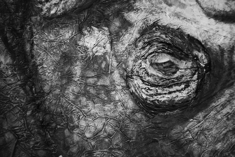 Sudan Close up