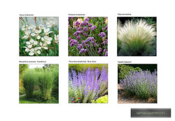 genaugarten_bepflanzung