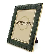 Large Green Crocodile Frame.webp