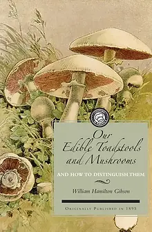 Edible Toadstools and Mushrooms & How To Distinguish Them.webp