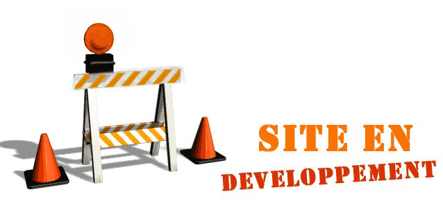 Animation-site-en-construction_LAUZON_CH