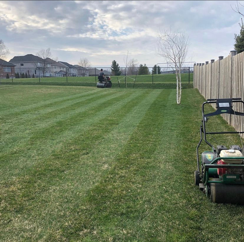 Lawn rolling pic.jpeg