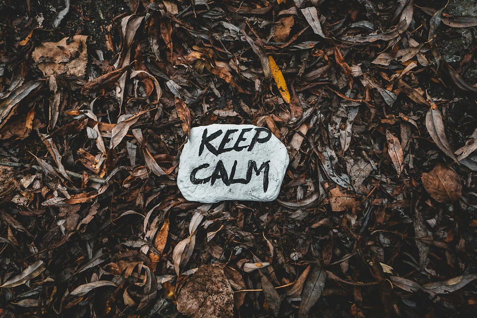 Living through the storm: long-term resilience in times of crisis