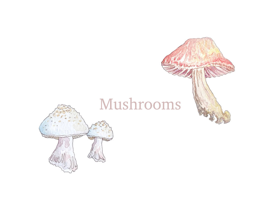 Mushrooms
