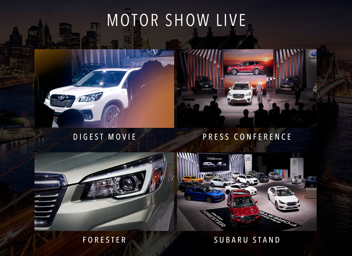2018 New York International Auto Sho