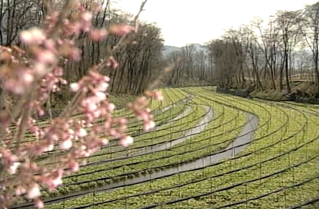 安曇野(長野県安曇野市)