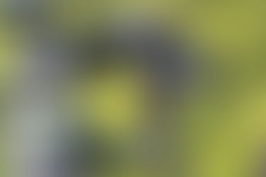 撮影しない映像制作もある