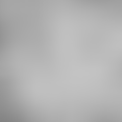 Black and white roses