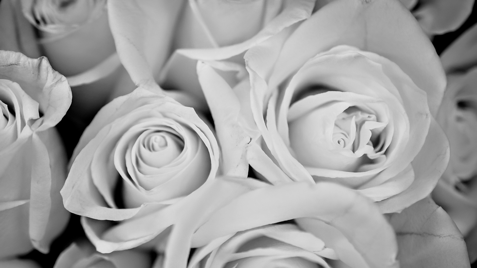 Close-up of white roses in black and white, showcasing intricate petal details. The mood is serene and elegant with no text.
