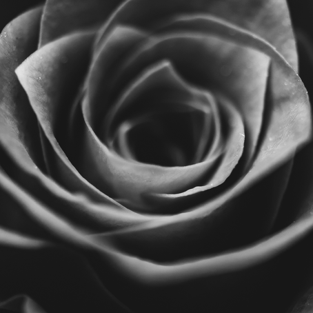 Healing with Internal Family Systems: A Guide for Complex PTSD Survivors to Find Peace and Wholeness