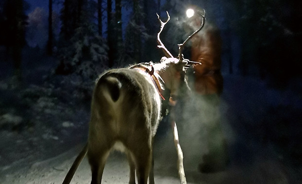 pimeärekiajelu.jpg