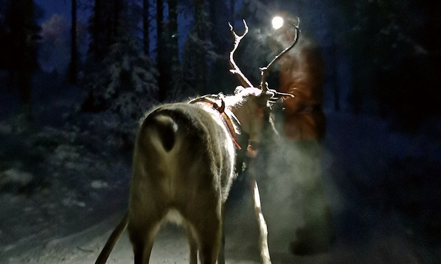 pimeärekiajelu.jpg