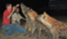 harar-3153 copy.jpeg