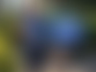 The campaign trail continues with the vibrant YARD SIGNS!! A heartfelt thank you to Darrelyn, Chair of the Wappinger Democratic Committee, for your steadfast support in delivering campaign yard signs